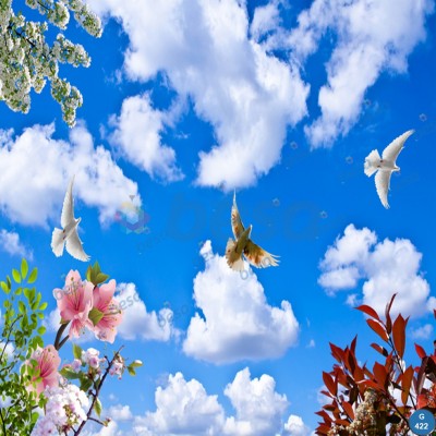 Montajlanmış Görseller