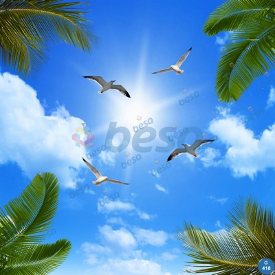 Montajlanmış Görseller