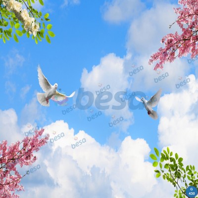 Montajlanmış Görseller