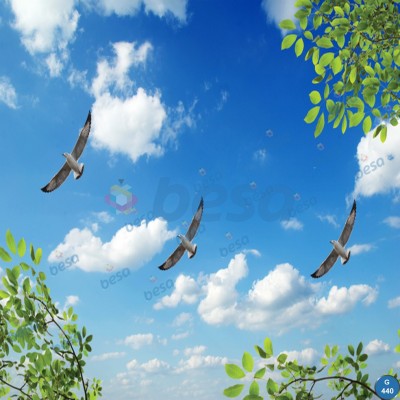 Montajlanmış Görseller