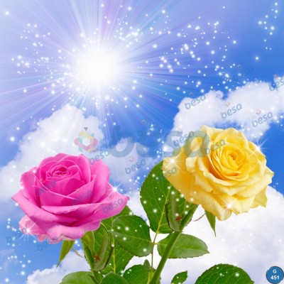 Montajlanmış Görseller